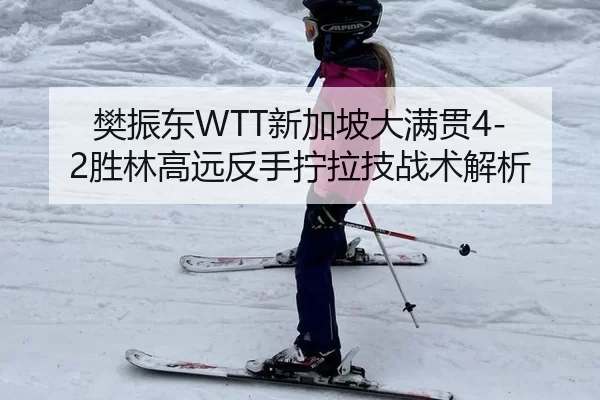 樊振东WTT新加坡大满贯4-2胜林高远反手拧拉技战术解析