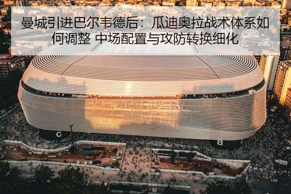 man-cheng-yin-jin-ba-er-wei-de-hou-gua-di-ao-la-zhan-shu-ti-xi-ru-he-tiao-zheng-zhong-chang-pei-zhi-yu-gong-fang-zhuan-2-533.jpg