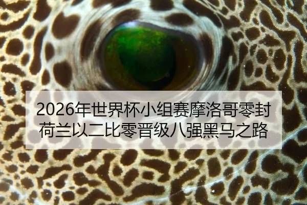 2026年世界杯小组赛摩洛哥零封荷兰以二比零晋级八强黑马之路
